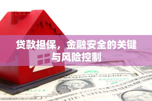 鲅鱼圈贷款担保，金融安全的关键与风险控制