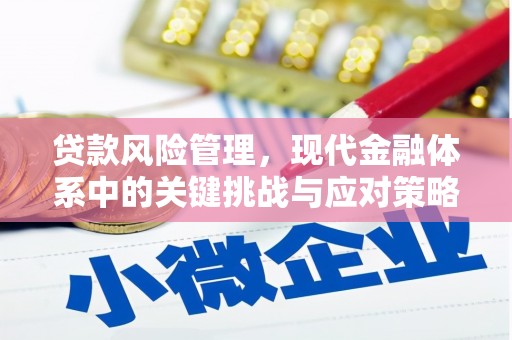 鲅鱼圈贷款风险管理，现代金融体系中的关键挑战与应对策略