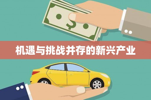 鲅鱼圈机遇与挑战并存的新兴产业